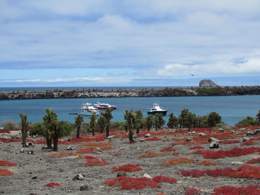 Ecuador_2010 (232)