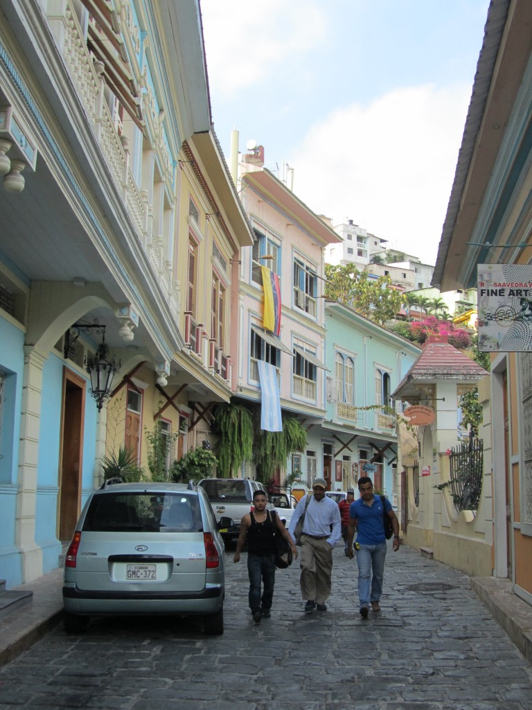 Ecuador_2010 (244)