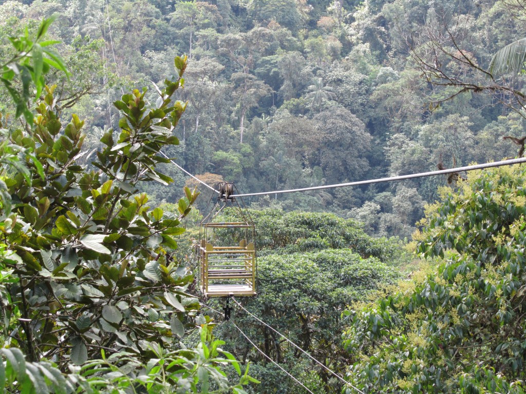 Ecuador_2010 (62)