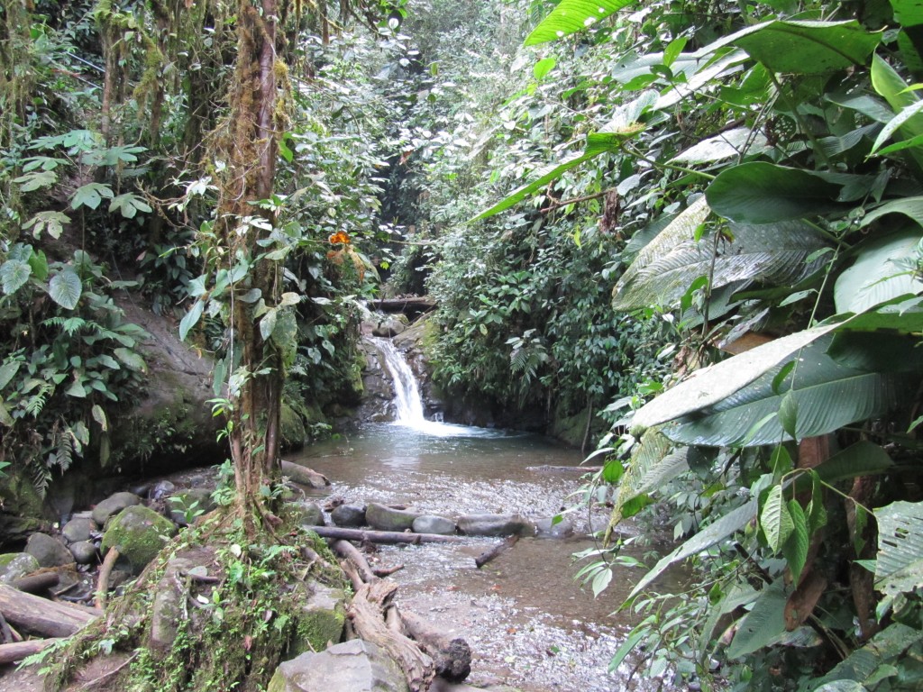 Ecuador_2010 (68)