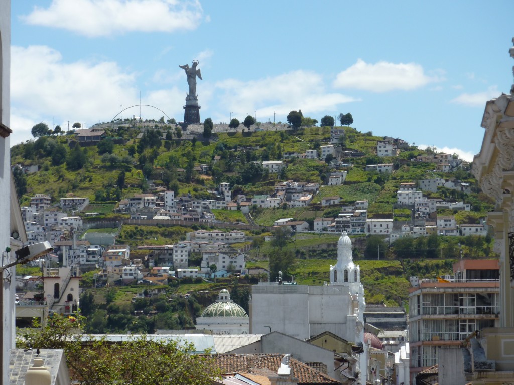 P1000993