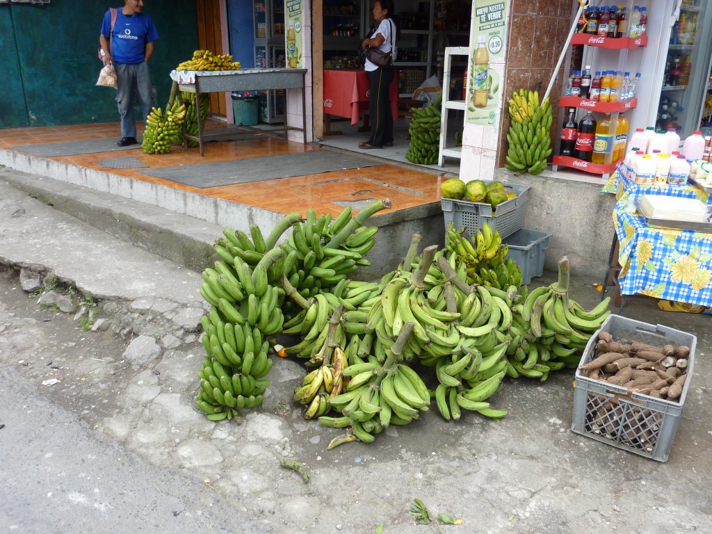 P1010099