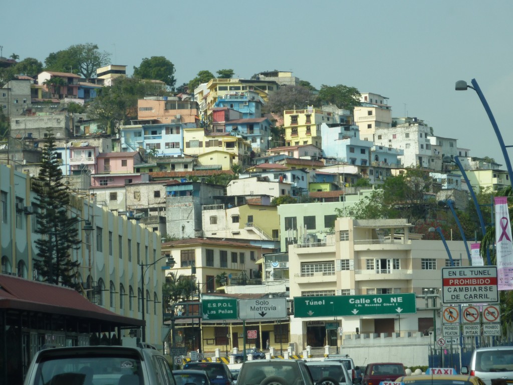 P1010772